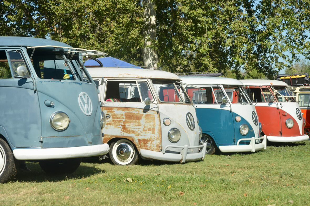 Lineup of classic VW Buses in mixed colors under the trees at the El Prado VW Show & Shine