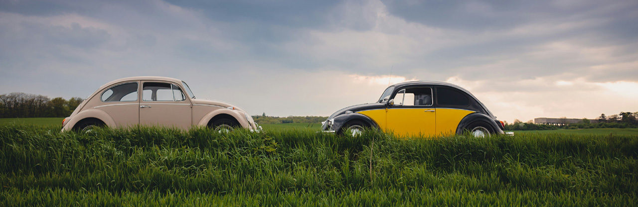 Two VW Beetles parked facing each other
